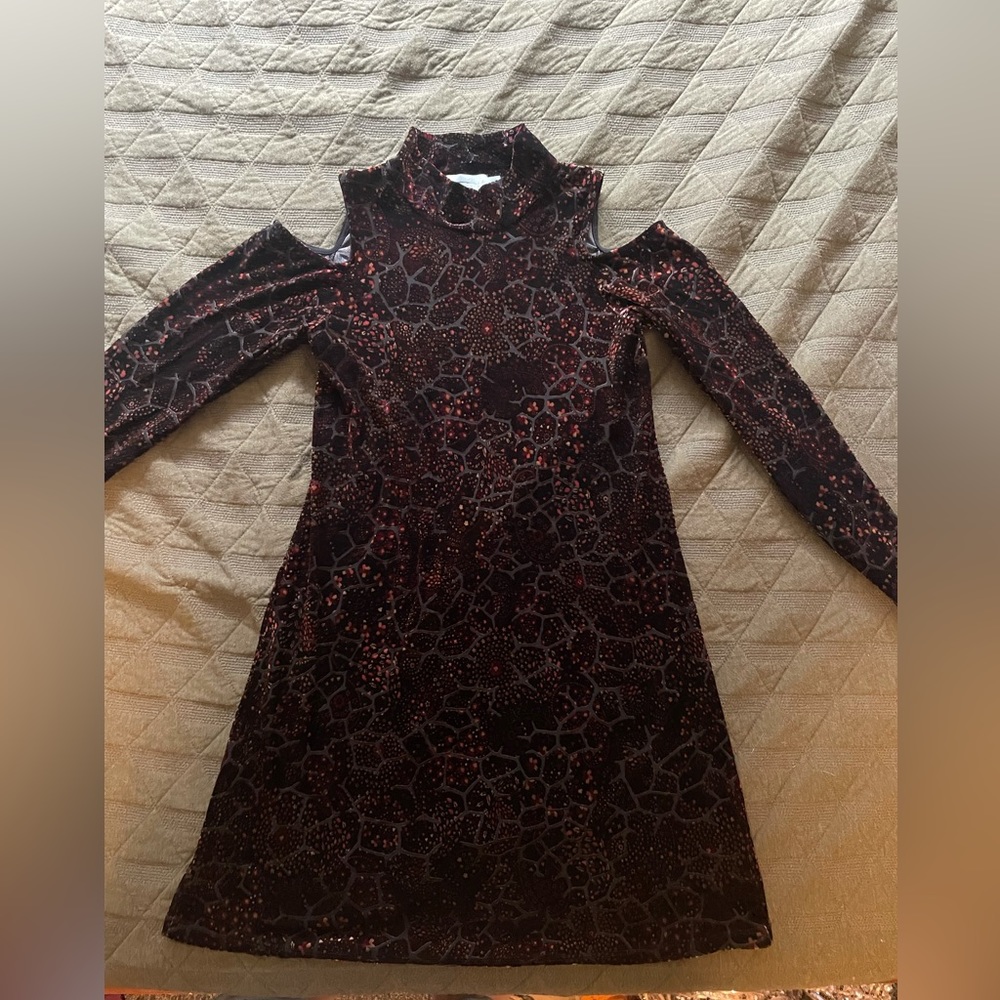 Velvet long sleeve midi dress